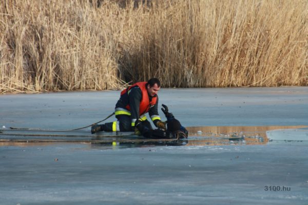 3100.hu Fotó: Jégről mentési gyarkolatot tartottak a tűzoltók a Tóstrandon