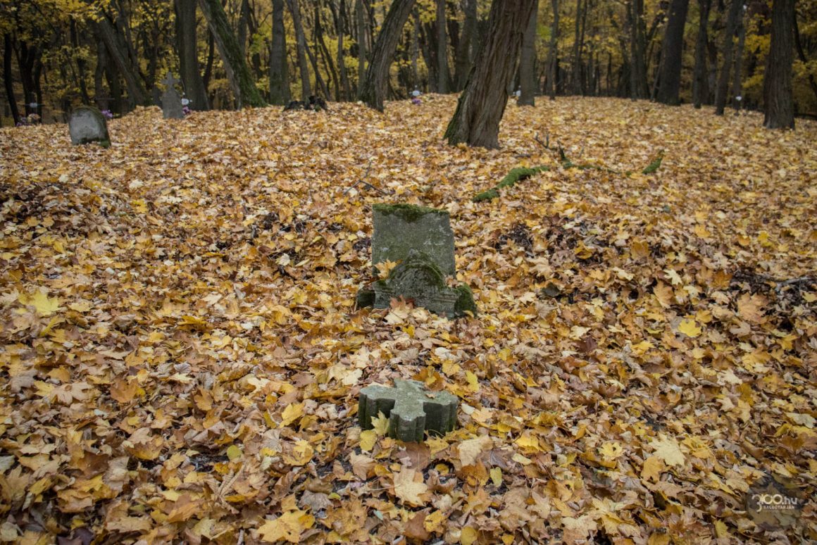 3100.hu Fotó: A krakkópusztai temető, 2021. november elsején