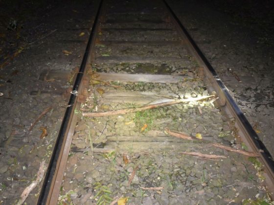Az ismeretlen tettes faágakat és köveket rakott a vasúti sínre, Drégelypalánk és Nagyoroszi között (Fotó: Nógrád Megyei Rendőr-főkapitányság)