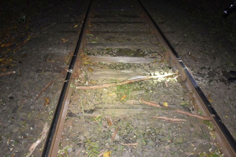 Az ismeretlen tettes faágakat és köveket rakott a vasúti sínre, Drégelypalánk és Nagyoroszi között (Fotó: Nógrád Megyei Rendőr-főkapitányság)