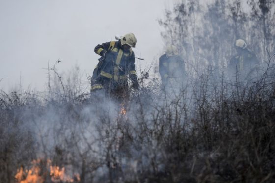 Szabadtéri tűznél dolgoznak a salgótarjáni hivatásos tűzoltók 2021 tavaszán (Archív fotó: MTI/Komka Péter)