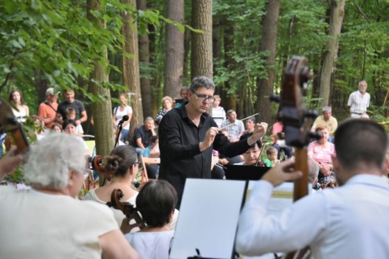 Archív fotó: Az Egri Szimfonikus Zenekar erdei koncertje (Fotó: Muzsikál az Erdő Alapítvány)