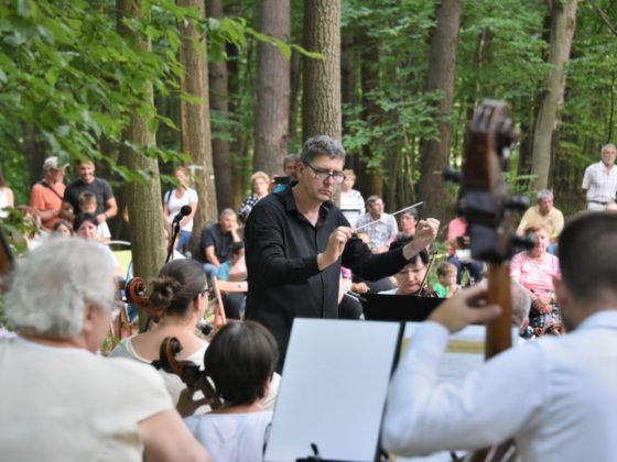 Az Egri Szimfonikus Zenekar erdei koncertje (Fotó: Muzsikál az Erdő Alapítvány)