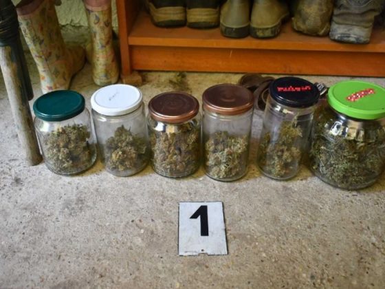 A férfi berceli házaiban termesztette és tárolta a kábítószert (Fotó: Nógrád Megyei Rendőr-főkapitányság)