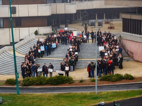 A tüntetés résztvevőinek élőképe a városháza lépcsőjén (Fotó: A tüntetés szervezői)