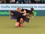 A hollókői Bérczes Christine Elisabeth és kutyája, Meredith a 2023-as Crufts-on. (Fotó: positive adamsky)
