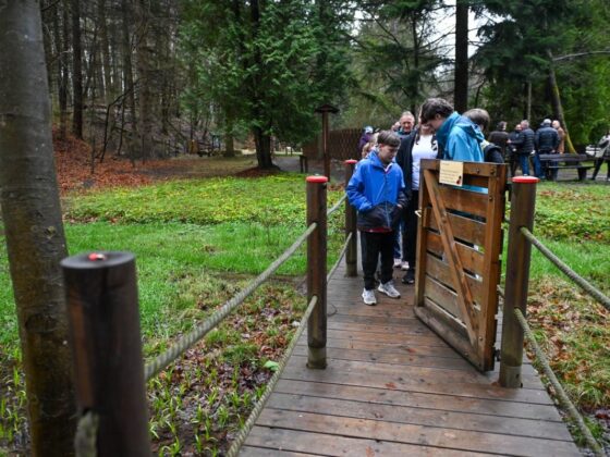 Számos elem megújult az eresztvényi erdőben az Aktív Magyarország Program 2025 támogatásából, illetve az önkormányzat által hozzátett összegből. (Fotó: Kreicsi Bálint | Facebook)