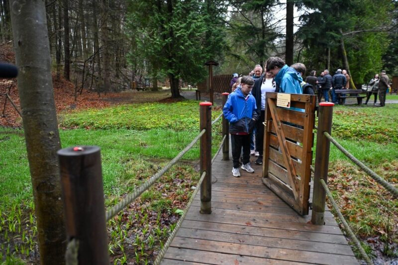 Számos elem megújult az eresztvényi erdőben az Aktív Magyarország Program 2025 támogatásából, illetve az önkormányzat által hozzátett összegből. (Fotó: Kreicsi Bálint | Facebook)