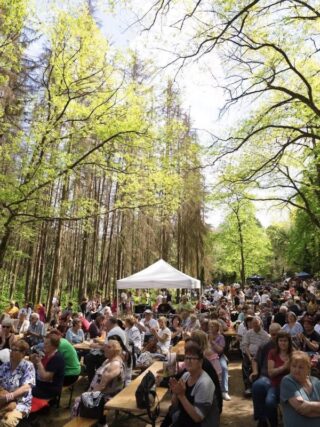 Archív fotó: Az utolsó majális a Dolinkában, 2025. május elsején. (Fotó: Salgótarjáni Rendezvény-, Média- és Művelődési Központ Nonprofit Kft./Hegedűs Márk | Facebook)