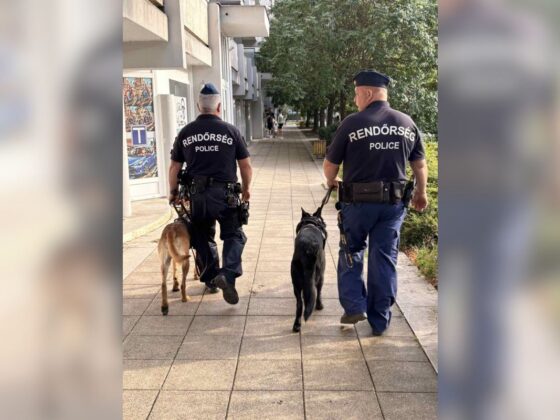 Salgótarján belvárosában tartottak ellenőrzést a rendőrök (Fotó forrása: Nógrád Vármegyei Rendőr-főkapitányság)
