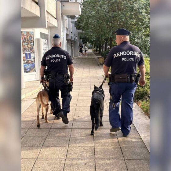 Salgótarján belvárosában tartottak ellenőrzést a rendőrök (Fotó forrása: Nógrád Vármegyei Rendőr-főkapitányság)