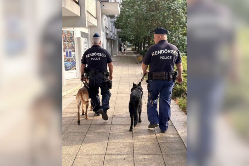 Salgótarján belvárosában tartottak ellenőrzést a rendőrök (Fotó forrása: Nógrád Vármegyei Rendőr-főkapitányság)