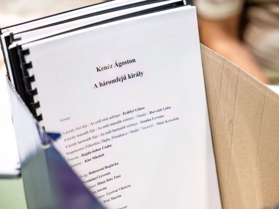 Ingyenesen vehet részt a közönség A háromfejű király című gyermekdráma nyilvános főpróbáján (Fotó: Zenthe Ferenc Színház/Lorkó Dávid | Facebook)