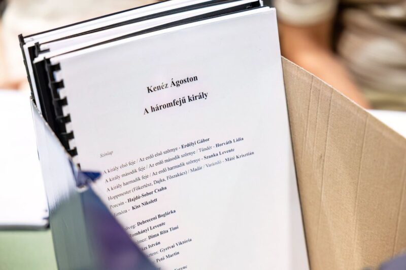 Ingyenesen vehet részt a közönség A háromfejű király című gyermekdráma nyilvános főpróbáján (Fotó: Zenthe Ferenc Színház/Lorkó Dávid | Facebook)