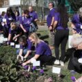 Zászlókat tűztek a World GO Day Hungary résztvevői a salgótarjáni kórház kertjébe (Fotó: Nógrád Vármegyei Szent Lázár Kórház/Gyurkó Péter)