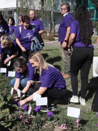 Zászlókat tűztek a World GO Day Hungary résztvevői a salgótarjáni kórház kertjébe (Fotó: Nógrád Vármegyei Szent Lázár Kórház/Gyurkó Péter)