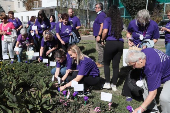 Zászlókat tűztek a World GO Day Hungary résztvevői a salgótarjáni kórház kertjébe (Fotó: Nógrád Vármegyei Szent Lázár Kórház/Gyurkó Péter)