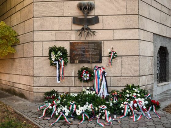 Az emlékezés virágai a salgótarjáni Megyeházánál, az ’56-os Nógrád megyei mártírok emlékére állított emléktáblánál 2026. október 23-án. (Fotó: REMEK Salgótarjáni Rendezvény-, Média, Turisztikai és Művelődési Központ | Facebook)
